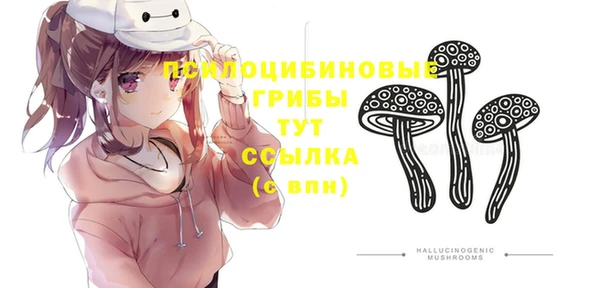 ПСИЛОЦИБИНОВЫЕ ГРИБЫ Алексин