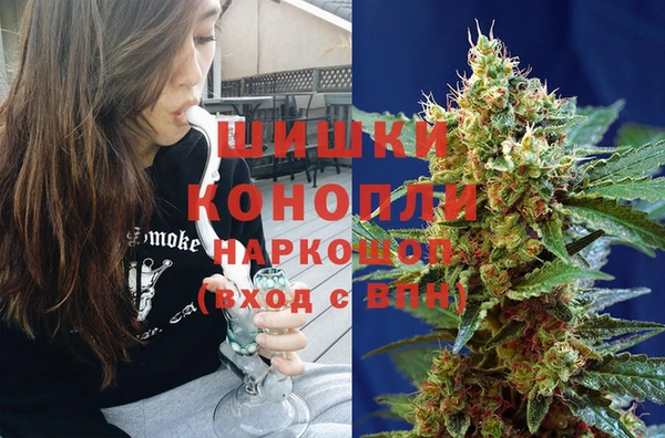 ПСИЛОЦИБИНОВЫЕ ГРИБЫ Алексин