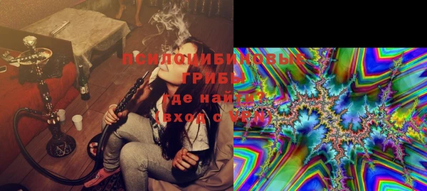 ПСИЛОЦИБИНОВЫЕ ГРИБЫ Алексин