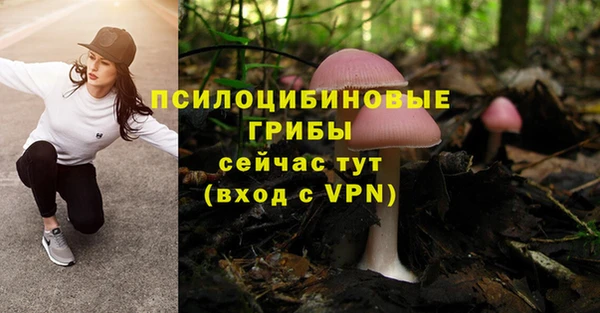 ПСИЛОЦИБИНОВЫЕ ГРИБЫ Алексин