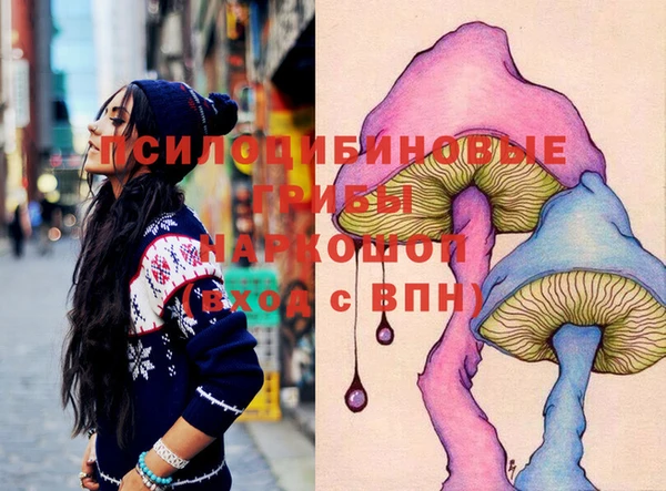 ПСИЛОЦИБИНОВЫЕ ГРИБЫ Алексин