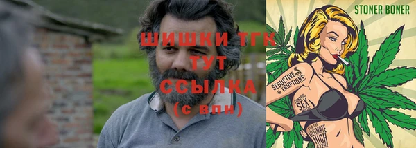 гидра Алексеевка