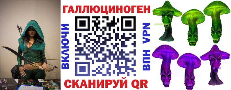 дарк нет какой сайт  Артём  Псилоцибиновые грибы Magic Shrooms 